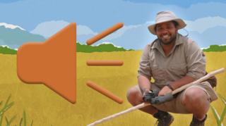 Hamza crouching, smiling to camera in a cartoon African landscape next to an icon of a speaker emitting sound.
