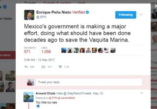 Rare Mexican porpoise faces 'imminent extinction' - BBC News