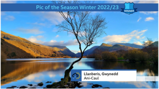 Lonely tree situated in the lake in Llanberis with a mountain backgdrop.Blue sky with scattered clouds. 鶹Լ Weather Watcher Ani-Caul.