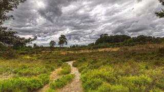 A very grey cloudy sky over countryside with a field at the front and a path through the centre.