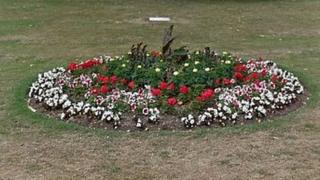 Plants in Central Park, Peterborough