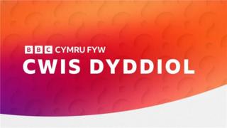 Cwis Dyddiol