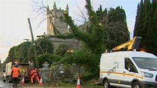Workers bid to untangle electricity cables from a fallen tree
