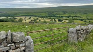 A cloudy sky over fields with a gate in the front of the picture