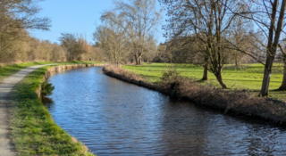 A canal with trees on the far side and grass and a towpath on the near side