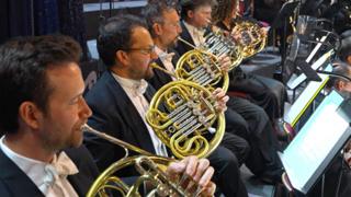 French horn players in an orchestera