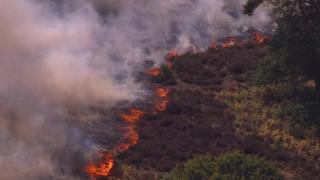 Fire on heath