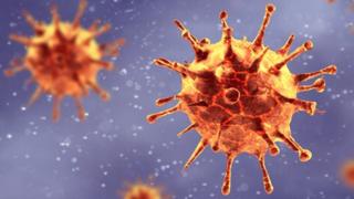 Coronavirus