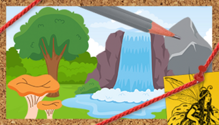 A waterfall in a forest