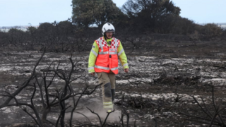 A lone fireman in yellow and orange hi-vi suit walks through scorched ground, burned shrubbery in the foreground