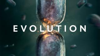 Evolution