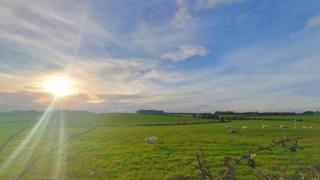 The sun shines brightly on the left in a blue sky with a green field with sheep below