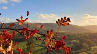 Autumnal scenes over Nantmel in Powys.