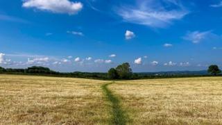 The chances of a heavy shower or a A blue sky with some fluffy white clouds along the horizon with a golden field in the foreground.