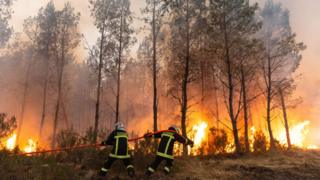 Two firefighter with a red hose in front of a burning forest. French firefighters battle a wildfire spreading in Marcheprime, south-western France, 26 July 2026