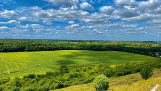 Green fields with blue sky filled with fluffy white clouds overhead.