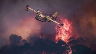 An aircraft flies past flames burning a forest