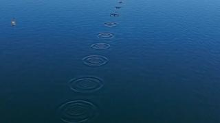 A trail of ripples across a body of water created by a stone being skimmed.