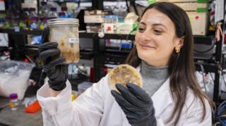Stanford University researcher
