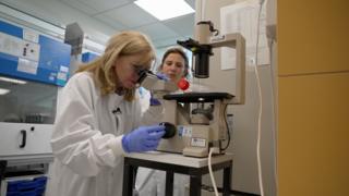 A white woman, with fair shoulder-length hair looks into a microscope in a laboratory. She is wearing a white lab coat and blue latex gloves. Her colleague observes in the background.
