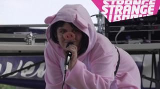 A person dressed as a pig
