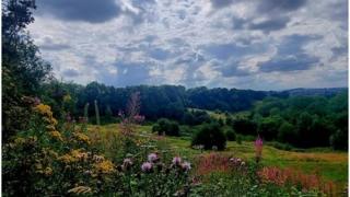 Rain clouds bubbling above a green field with brightly coloured flowers in the foreground