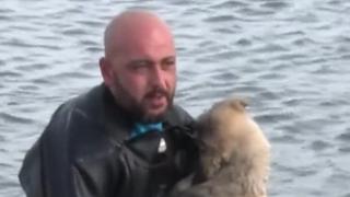 Police diver rescues dog