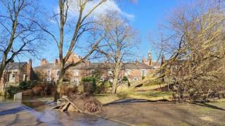 A lies on its side in front of a row of houses after being uprooted by flooding