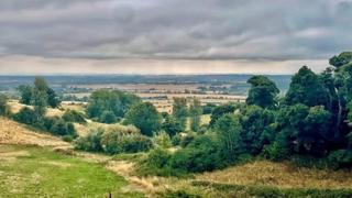 Part of a field with trees, looking out on to a longer view with fields in the background and cloudy skies over head.