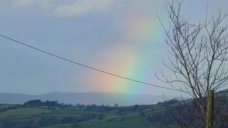 A wide rainbow in a blue sky with a bare tree in the right hand side