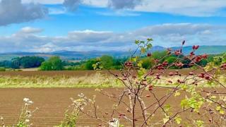 Ploughed field with blue sky overhead