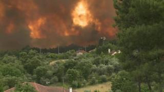 A wildfire rages in central Portugal affecting houses and a wooded area.