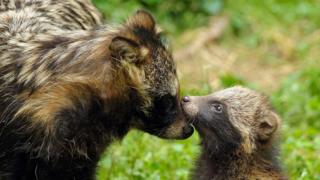 Wuhan - BBC News