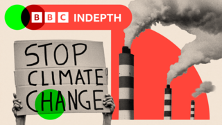 COP29 - BBC News