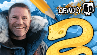 Steve next to a drawing of a snake