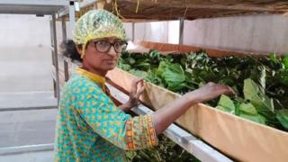 Umamaheswari standing in her silk farm