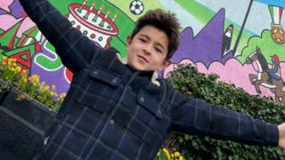 llew