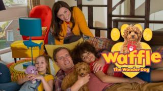 Waffle the Wonder Dog promo image