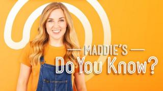 Maddie's Do You Know? promo image