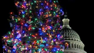U.S. Capitol Christmas Tree in Washington.