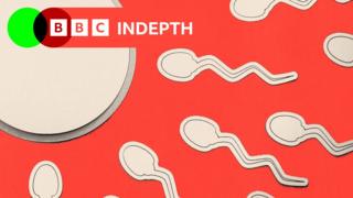 A red background with white sperm pointing towards an egg shape