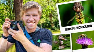 Robert Irwin wildlife photography.