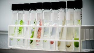 Artificial food colours are out, so what's next?