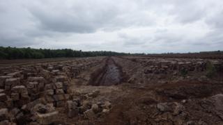 A wide shot of peat extraction taking place over a wide section of landscape on a cloudy day. A long narrow channel has been cut through the bog and peat briquettes are piled up along the sides. There is a forest in the distance.