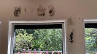 Patches of black mould around a window