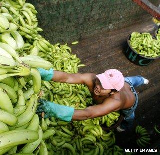 Honduran man unloads bananas