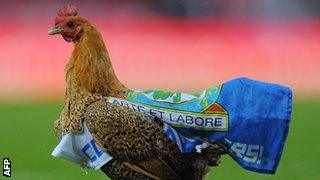 The chicken on the Ewood Park pitch