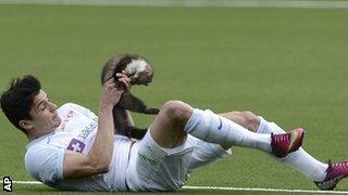 Zurich defender Loris Benito tackles a trespassing marten