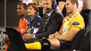 Pocock injured his knee playing for the Brumbies in March