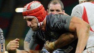 Luke Charteris loses the ball as he crosses Tonga's line